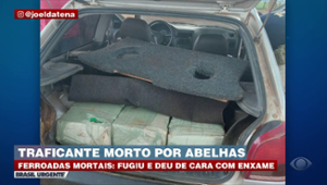 Traficante morre após levar ferroadas de abelhas