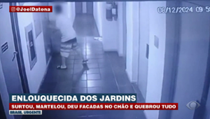 Enlouquecida dos jardins