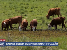 Preços das carnes sobem 8% e pressionam a inflação