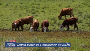 Preços das carnes sobem 8% e pressionam a inflação