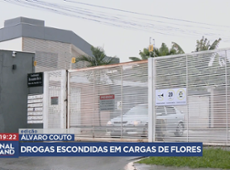 Criminosos escondem drogas no meio de carregamento de flores