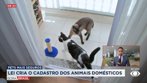 Lula sanciona lei que cria cadastro nacional de animais domésticos