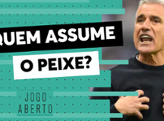 Quem deve ser o treinador do Santos? Denílson analisa