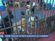 Procura por hospedagem para pets dispara no final do ano