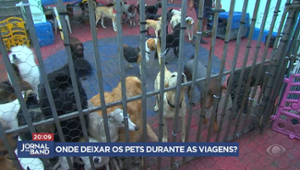 Procura por hospedagem para pets dispara no final do ano