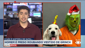 Homem é preso roubando vestido de Grinch nos EUA