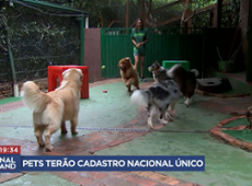 Pets terão cadastro nacional único, entenda