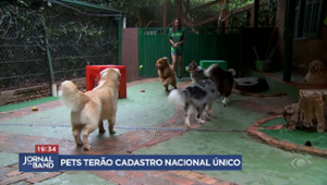 Pets terão cadastro nacional único, entenda