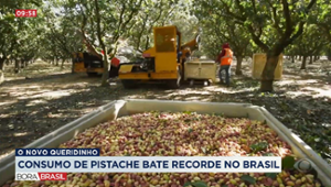 Consumo de pistache aumentou 80% em 2024