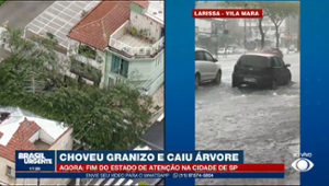 Chuva em SP: granizo e queda de árvore deixam cidade em alerta