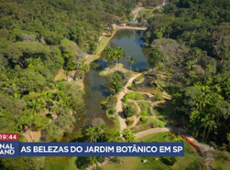 Jardim Botânico de SP é o lugar ideal para relaxar em meio à natureza