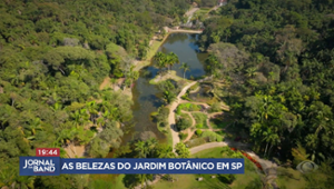 Jardim Botânico de SP é o lugar ideal para relaxar em meio à natureza