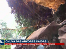 Chuva derruba árvores e causa estragos em São Paulo