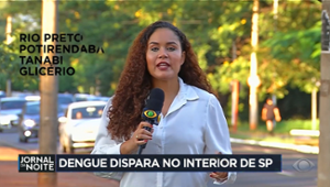 Dengue dispara no interior de São Paulo