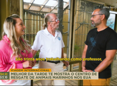 Conheça centro de resgate de animais marinhos nos Estados Unidos