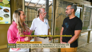 Conheça centro de resgate de animais marinhos nos Estados Unidos