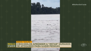 GOLPE! Crocodilo malandro "imita" humanos se afogando para atrair presas