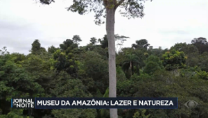 Museu da Amazônia: lazer e natureza