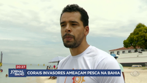 Corais invasores ameaçam pesca na Bahia