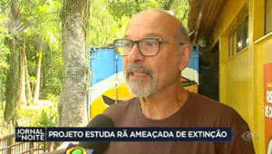 Projeto estuda rã ameaçada de extinção