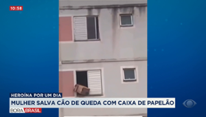 Mulher salva cão de queda da janela do 5º andar com caixa de papelão em SP