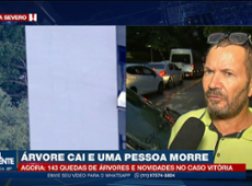 "Foi um barulho muito forte", relata motorista de carro atingido por árvore