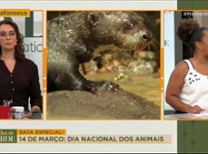14 de março é o Dia Nacional dos Animais | Melhor da Tarde