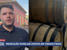Tradição das vinícolas familiares no Rio Grande do Sul