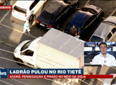 Ladrão abandona caminhão roubado e pula no rio Tietê em SP