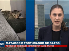 Psicólogo é indiciado pela morte de 20 gatos no DF