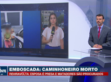 Divórcio e posse de bens teriam motivado assassinato de caminhoneiro em SP