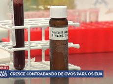 Cresce o contrabando de ovos do México para os EUA