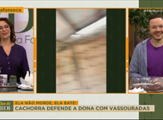 ELA BATE, VIU? Cachorra DEFENDE a dona com VASSOURADAS | Melhor da Tarde