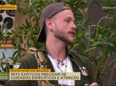 O que as COBRAS DE ESTIMAÇÃO comem? Especialistas explicam!