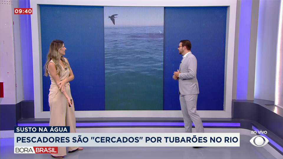 Pescadores são "cercados" por tubarões em praia no RJ