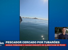 Pescador é cercado por tubarões no RJ