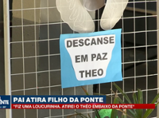 'Fiz uma loucurinha': diz pai que jogou filho da ponte