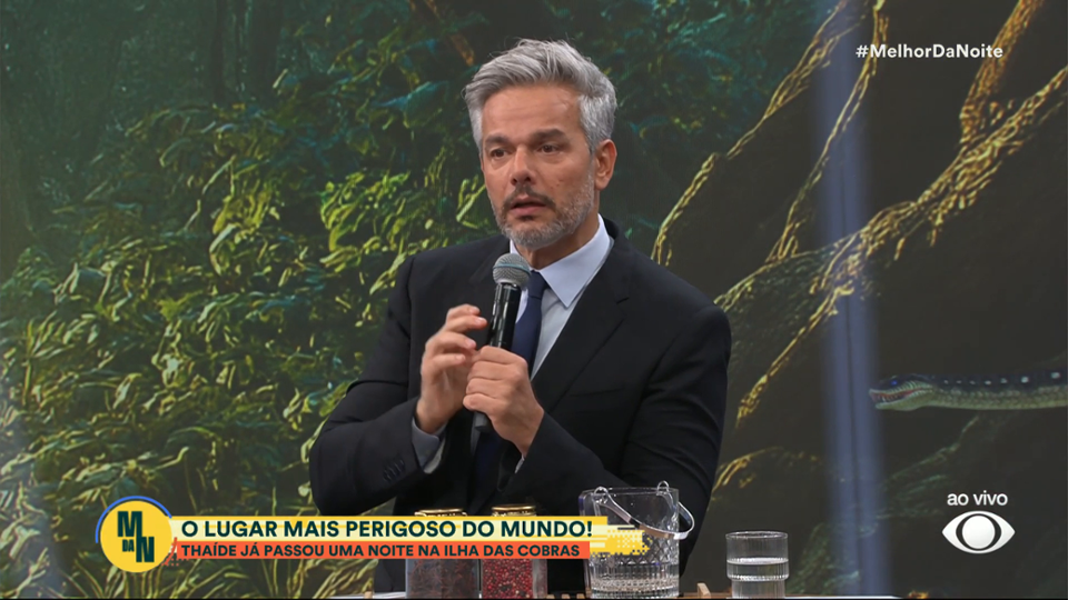 Ilha das Cobras: conheça a região com maior densidade de serpentes