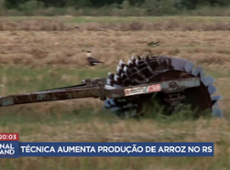 Técnica aumenta produção de arroz no Rio Grande do Sul