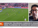 Arnaldo: Palmeiras começou a jogar no nível do Flamengo de dominância