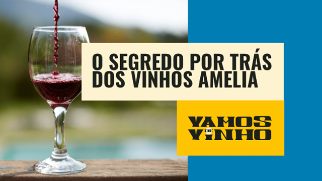 Enólogo da Concha y Toro detalha produção do excelente vinho Amielia