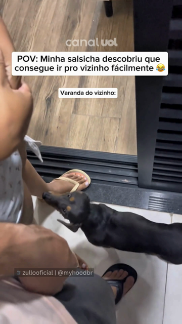 Cachorrinha salsicha cria ?rota secreta? na varanda para visitar o vizinho