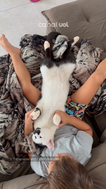 Heitor e Bigode: o ?momento preguiça" mais fofo da sua timeline