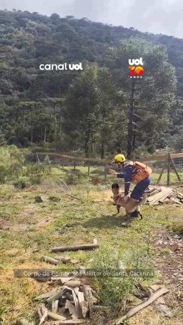 Morre Rick: Bombeiros divulgam imagens dos destroços de helicóptero