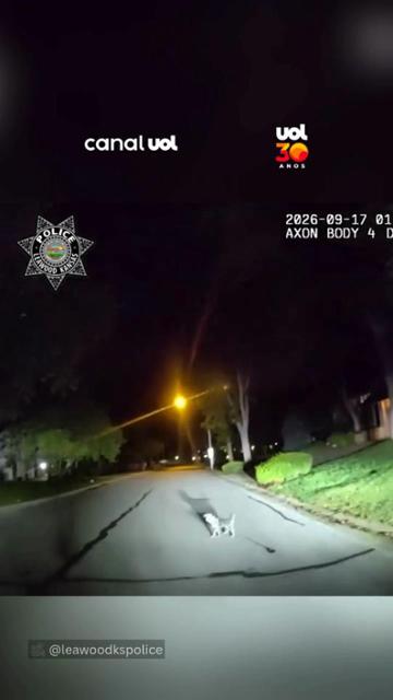Cachorro ?pede ajuda? e leva policial até casa onde tutor estava caído há 3 h nos EUA