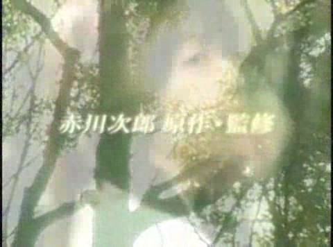 Jeu PlayStation 1 PS1 Akagawa Jirou Yasoukyoku - Version NTSC-J (Japon) - État Correct