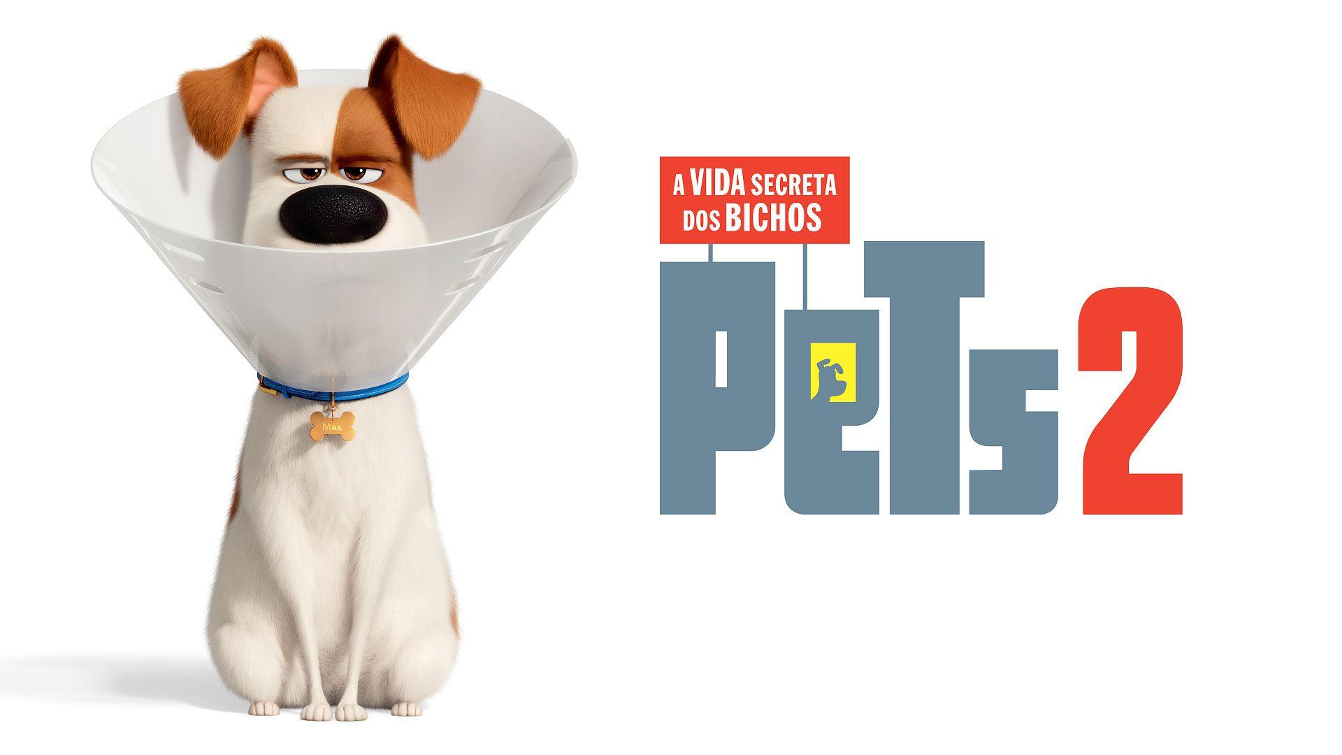 Pets - A Vida Secreta dos Bichos 2