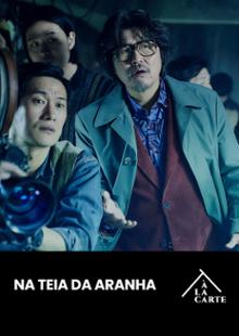 Na teia da aranha